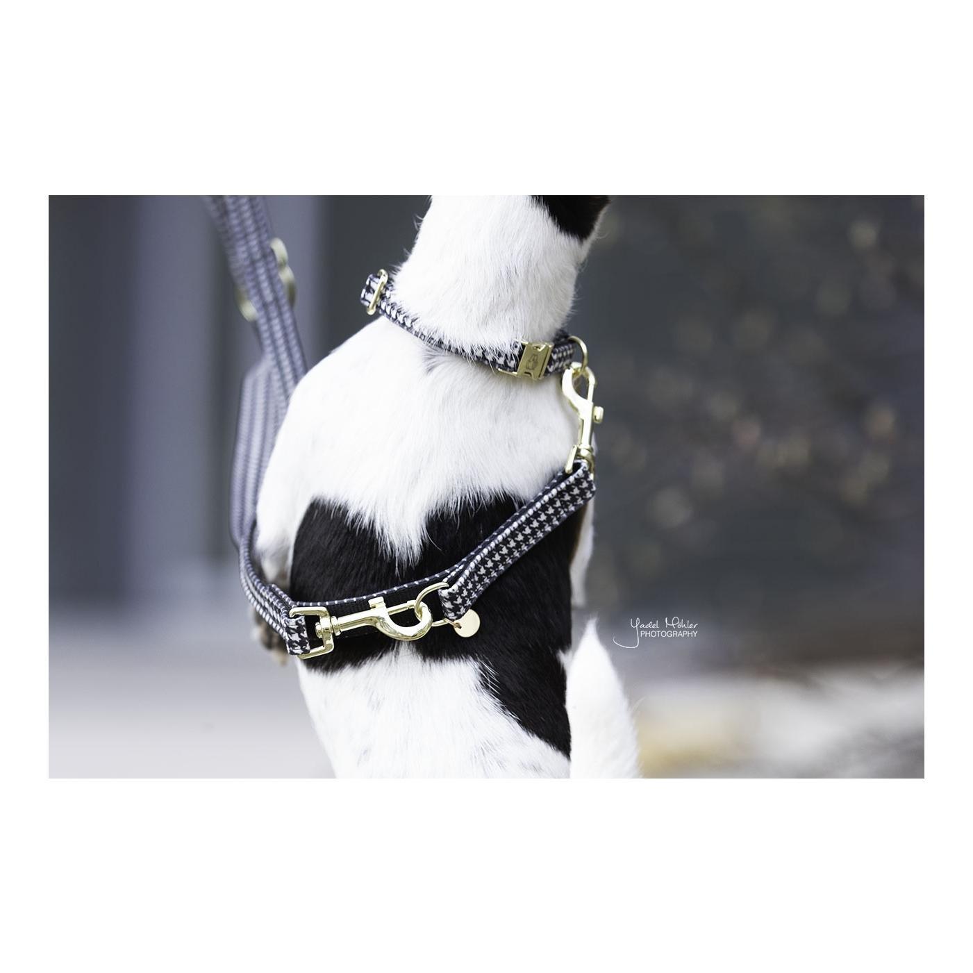 Hundeleine Pied-de-Poule - schwarz Hundeleine Pied-de-Poule - schwarz