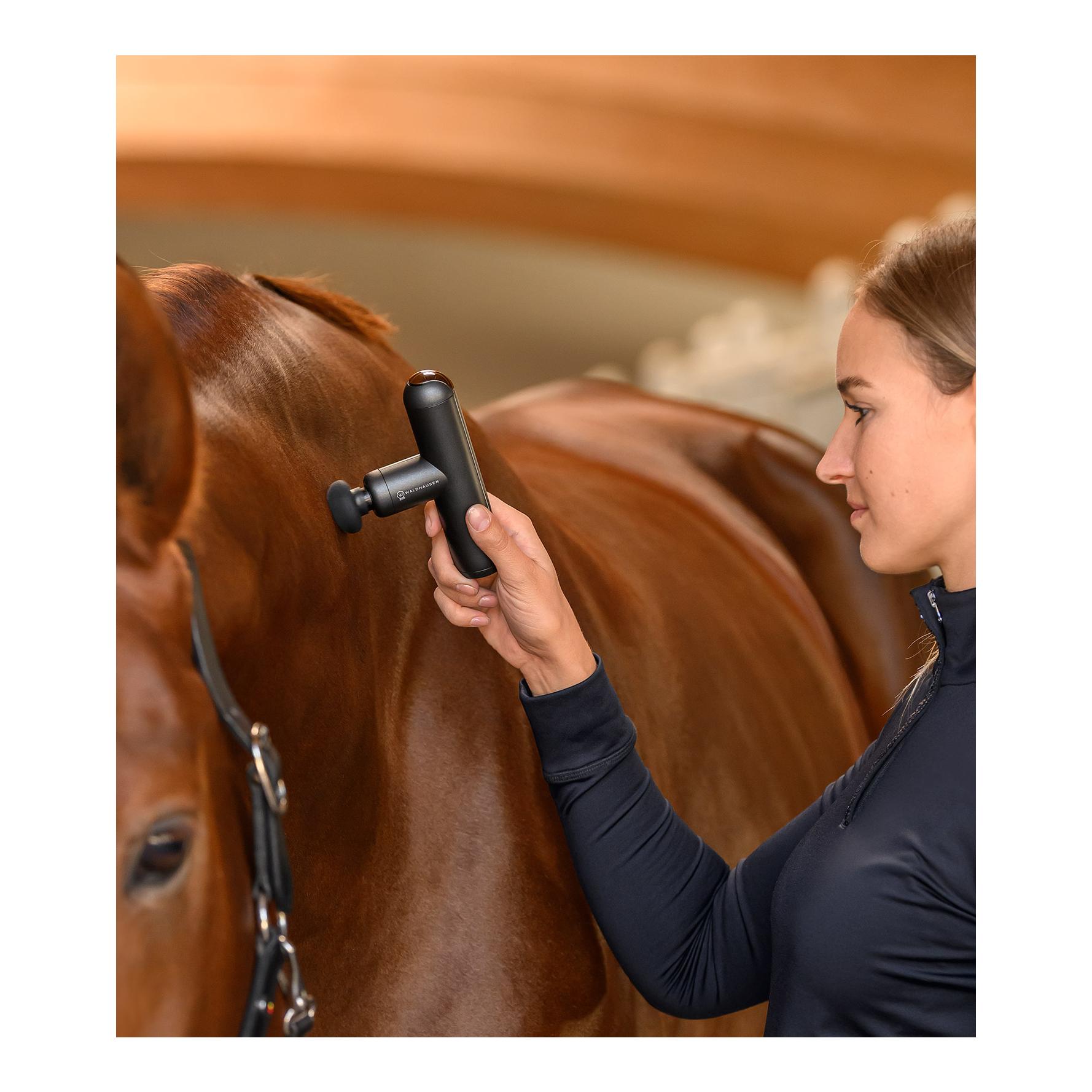 Health + Care Waldhausen Health + Care Massagegerät PocketRelax