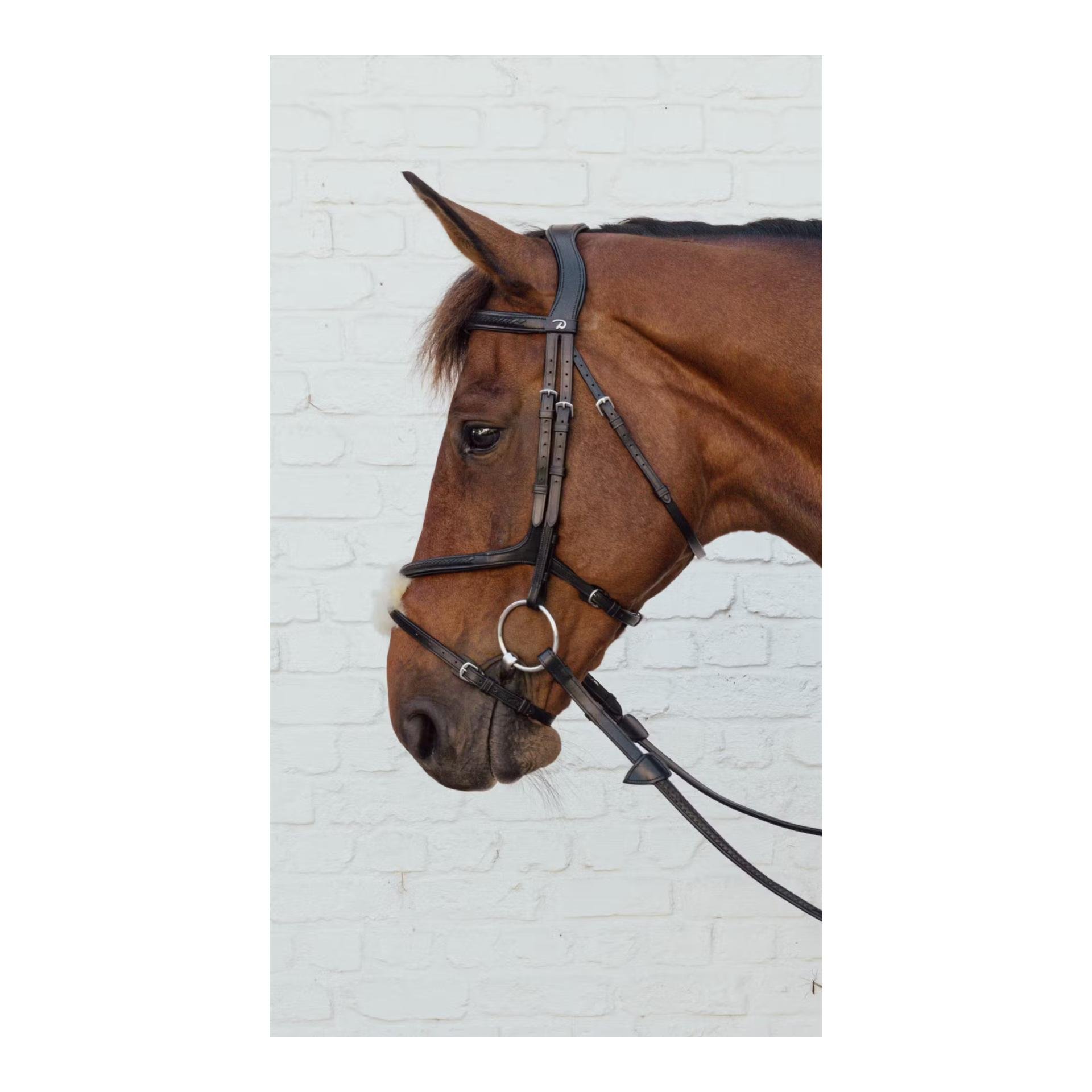 Plaited Figure 8 Noseband Plaited Figure 8 Noseband