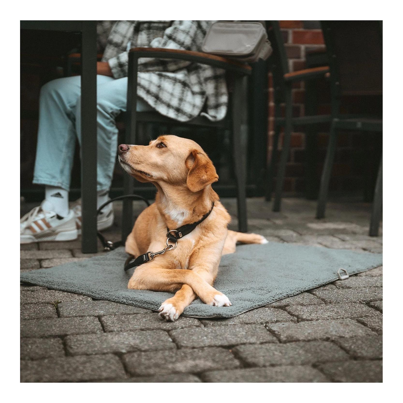 Hunter Couverture de voyage pliable pour chiens Seoul