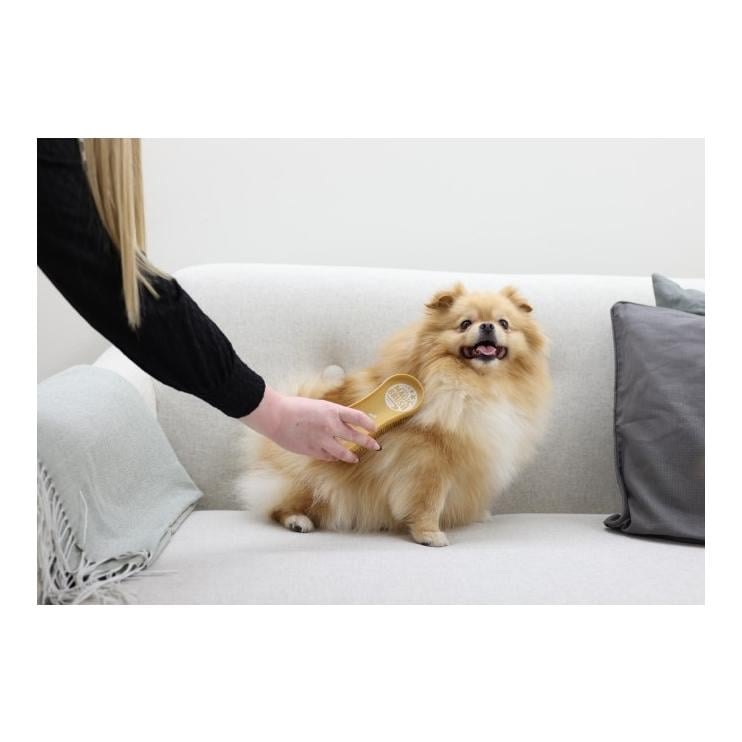 MagicBrush Hundebürste Dog Soft