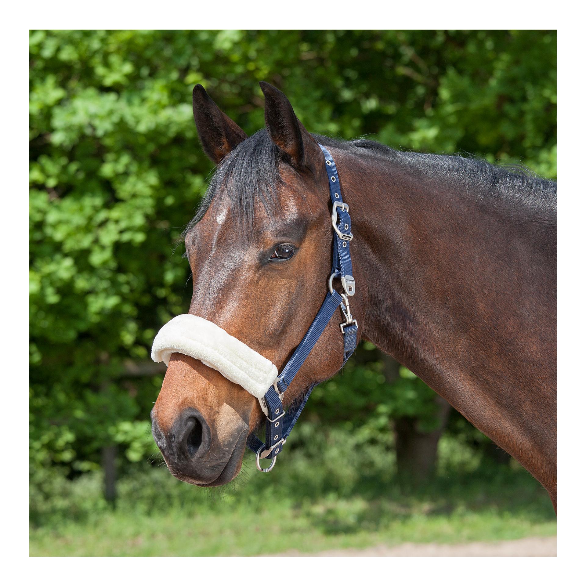 Waldhausen Nasen- oder Genickschoner - beige