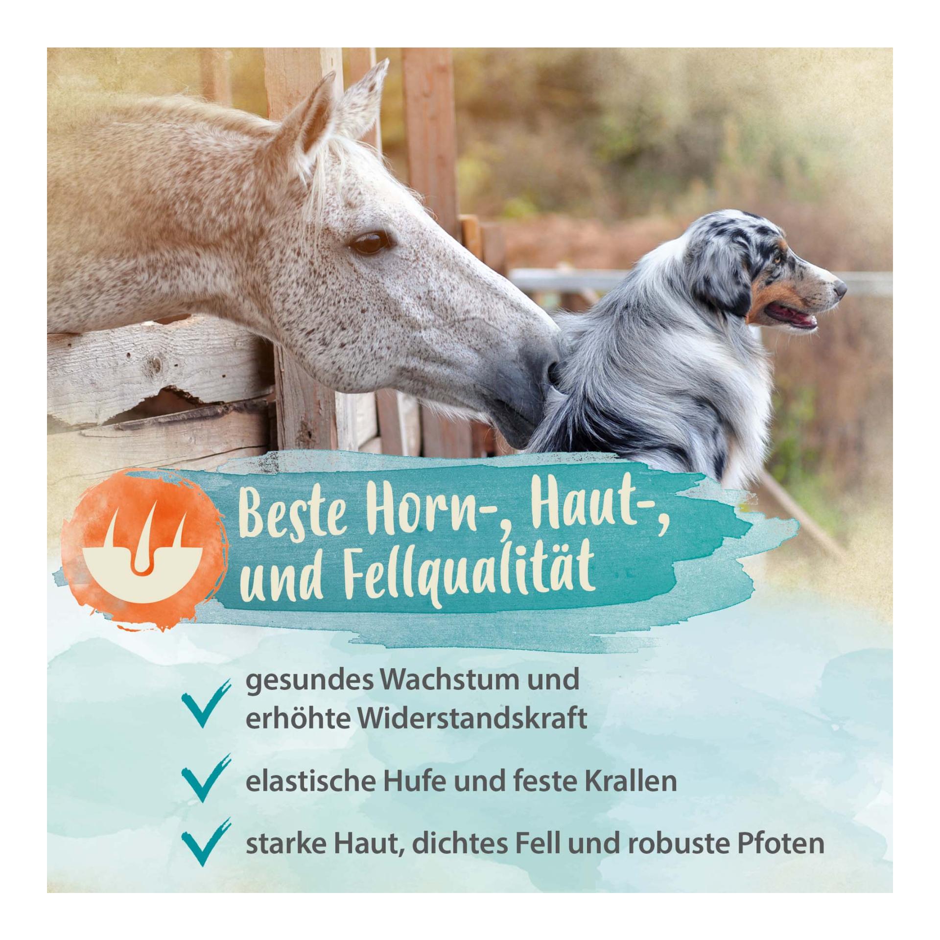 Mineral Forte - wichtige Mineralien & Vitamine für Abwehrkräfte, Haut & Fell