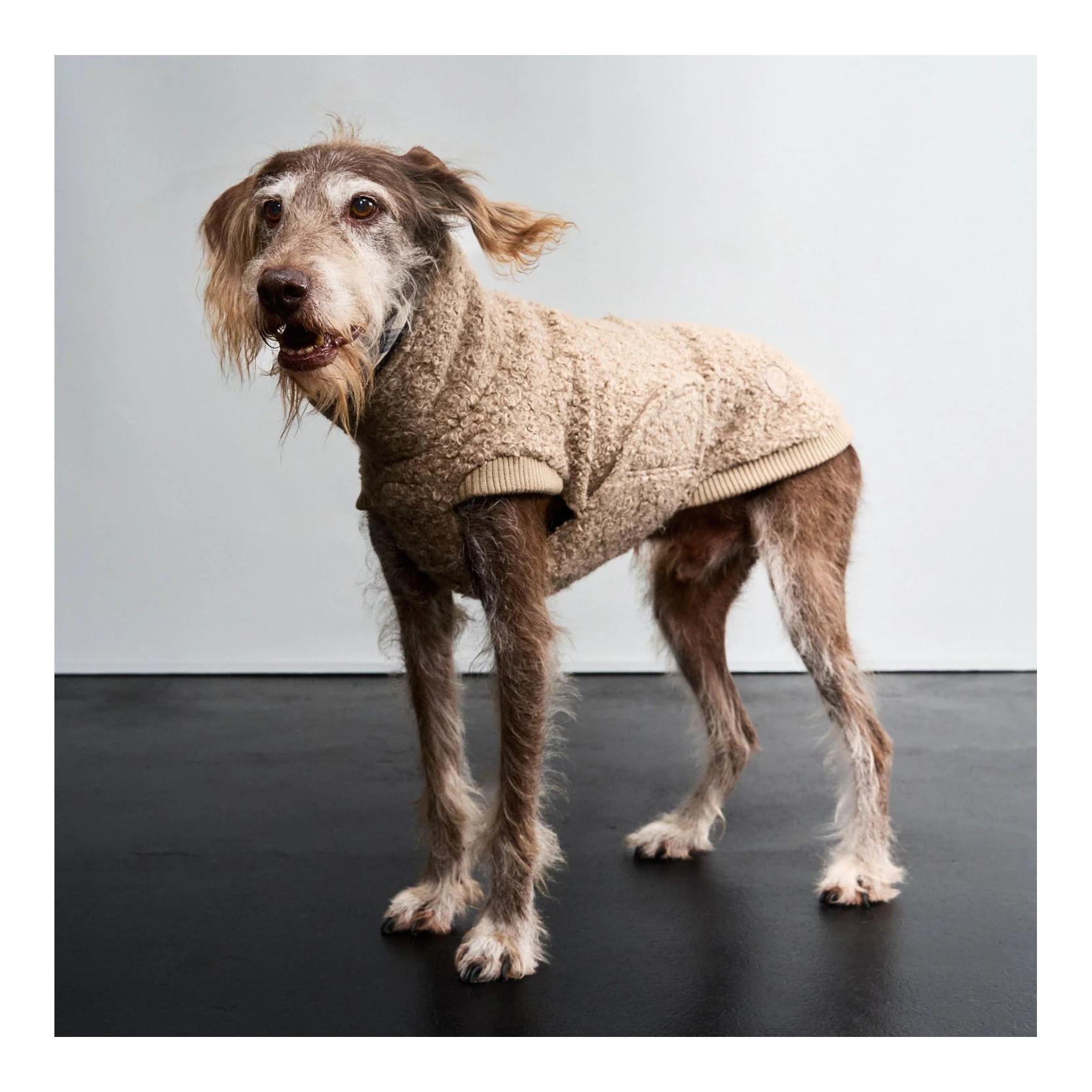 Cloud 7 Hundepullover Gotland mit Kragen