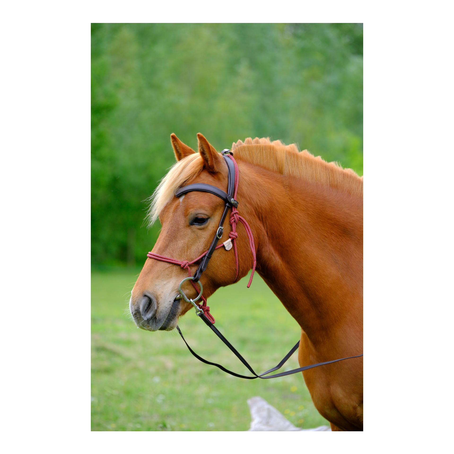 F.R.A Campari Kombitrense