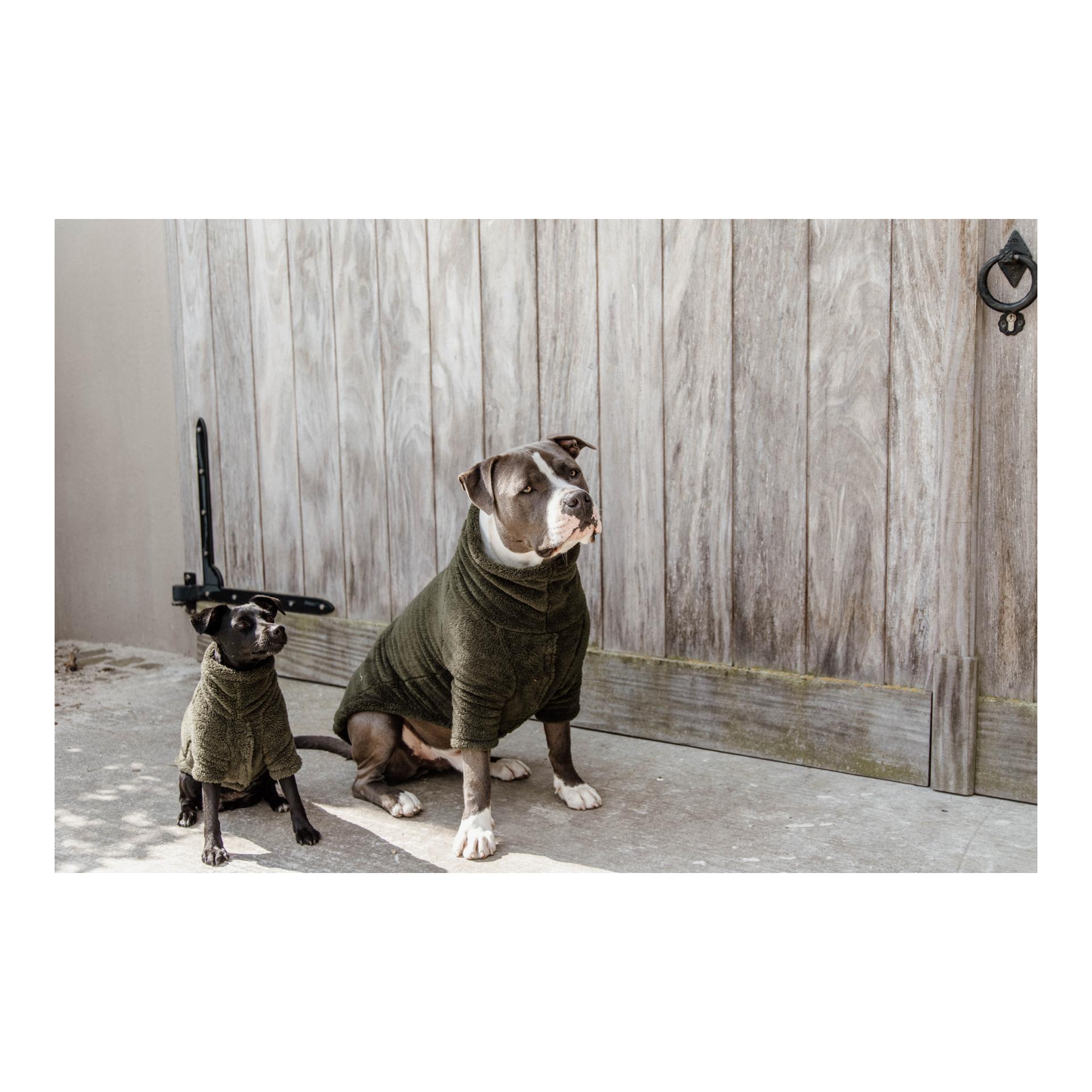 Hundepullover Teddy Fleece - Pine Green Hundepullover Teddy Fleece - Pine Green