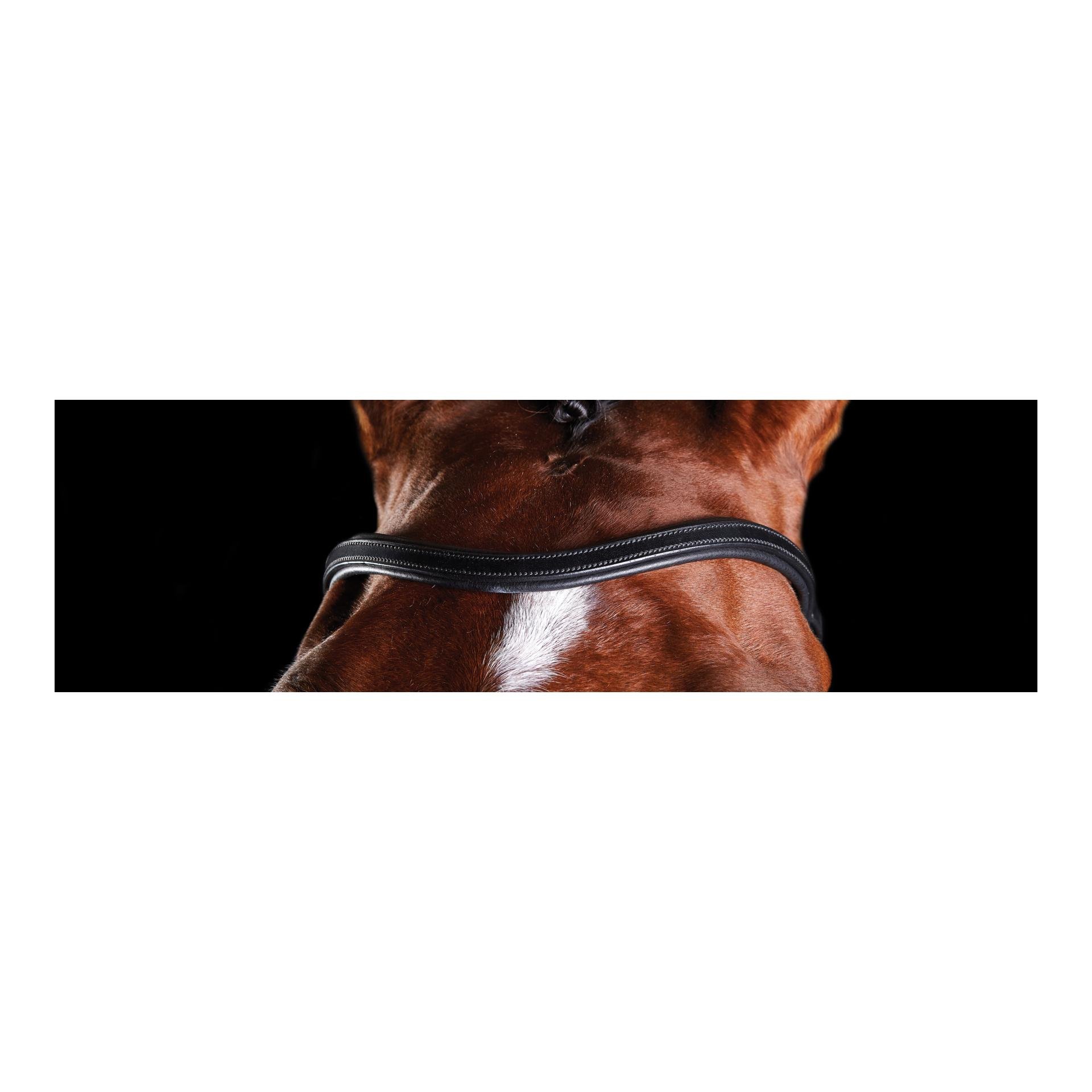 Zaum Comfitec Training Bridle Zaum Comfitec Training Bridle