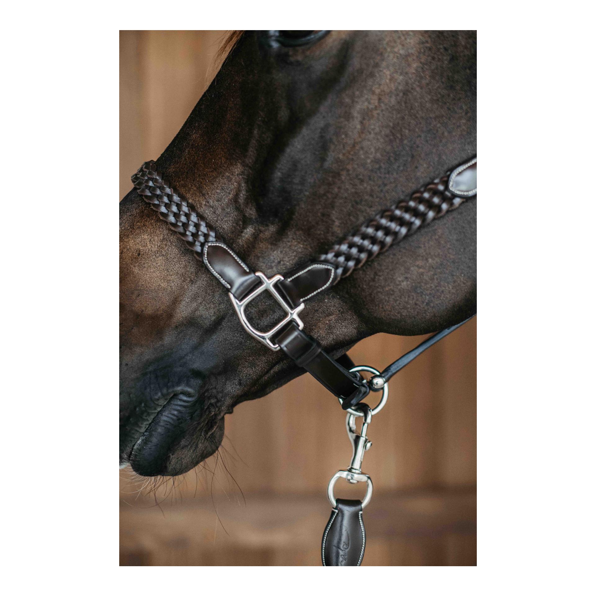 Halfter Plaited Halfter Plaited