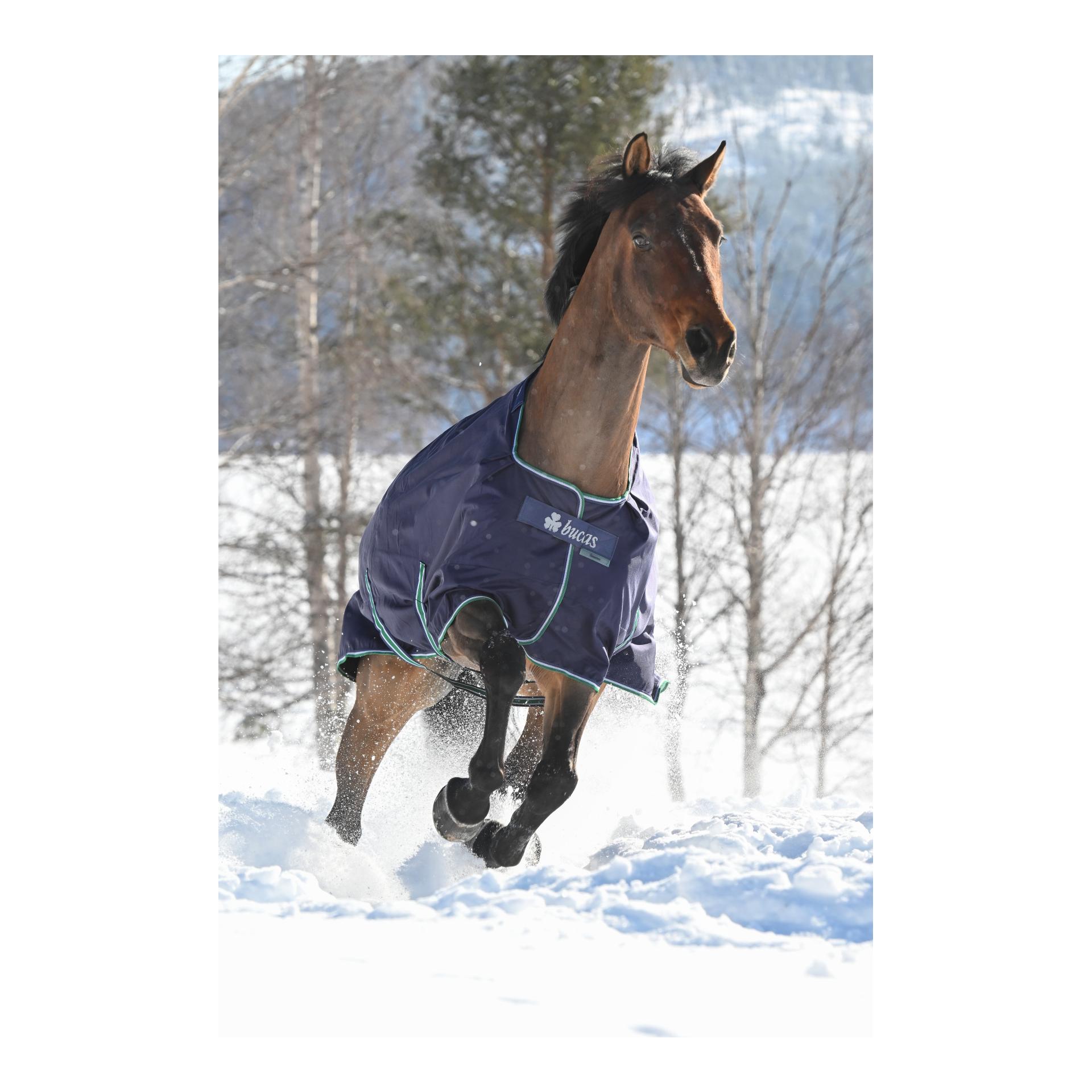 Bucas Winterdecke Smartex Extra Classic 300g - blau