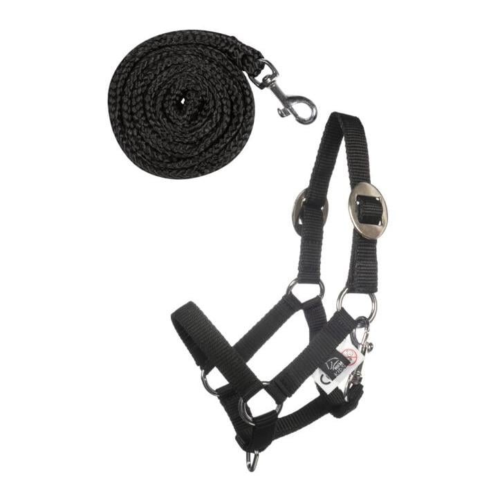 Halfter und Strick -Hobby Horsing Basic