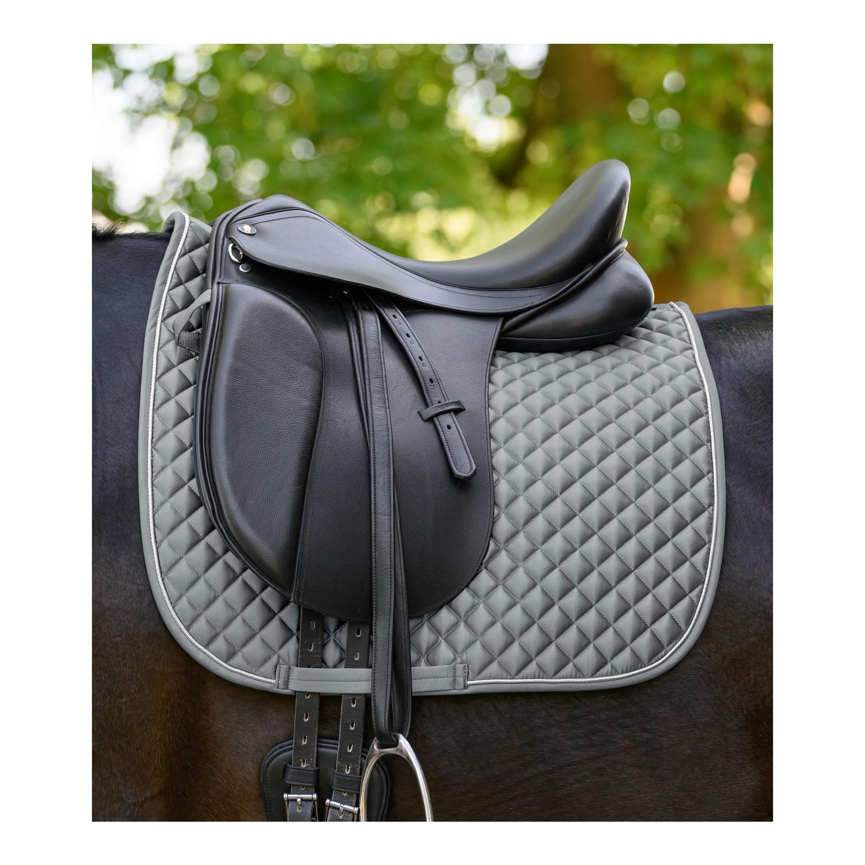 Waldhausen Schabracke Felix Glam