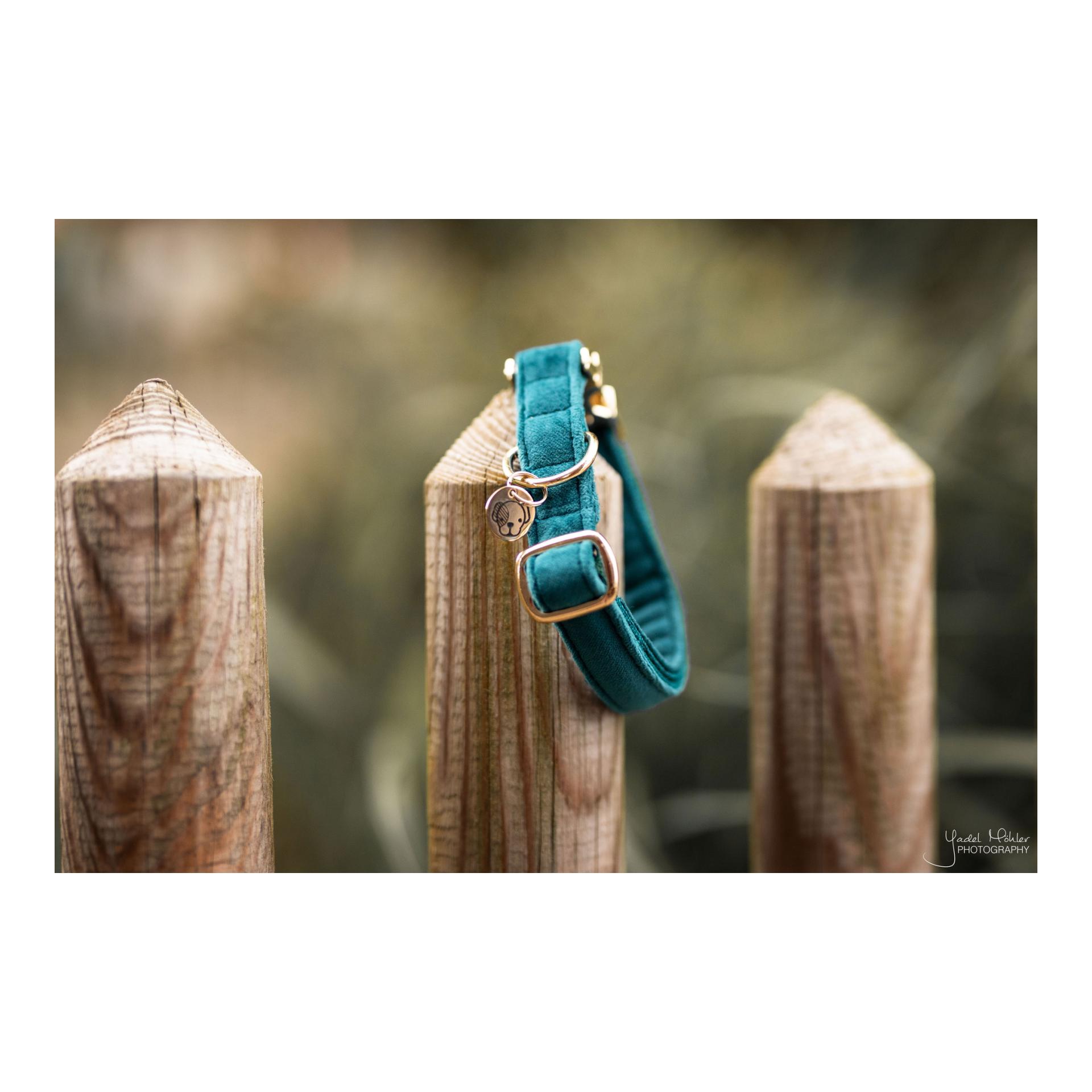 Hundehalsband Velvet - emerald Hundehalsband Velvet - emerald
