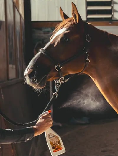 RS-ShopBanner_Veredus