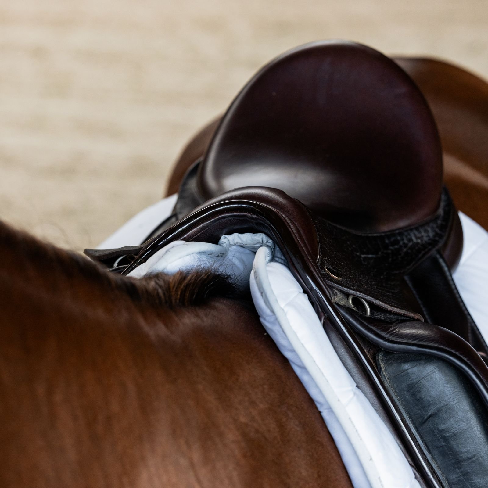 EQuest Equest Move Pad